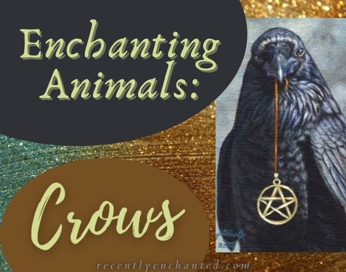 A crow with a pentacle in it's beak.